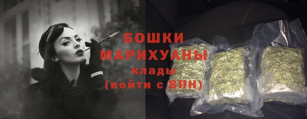 сатива Магадан