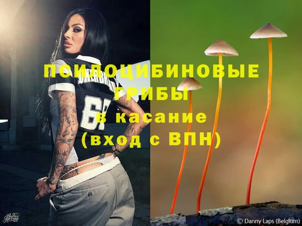 сатива Магадан
