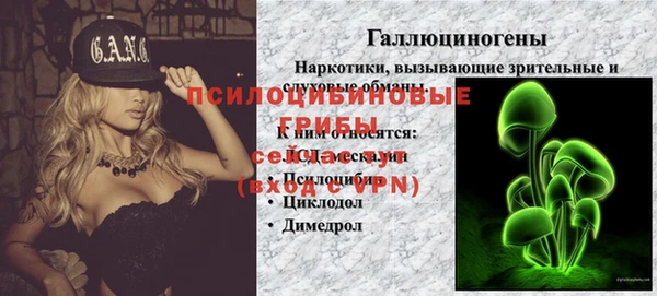 сатива Магадан